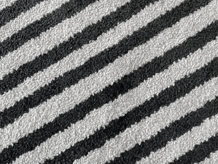 white rug or carpet stripe pattern with black stripes. texture background black and white nobody.abstract texture background.の写真素材