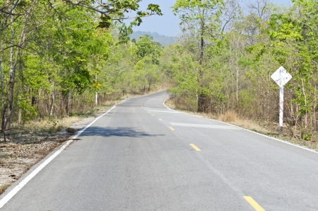 Empty curved road through forestの写真素材