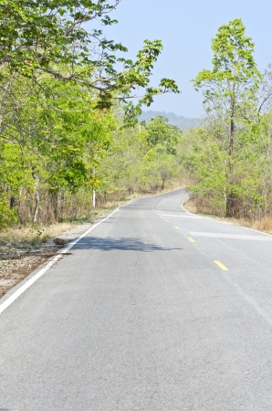 Empty curved road through forestの写真素材
