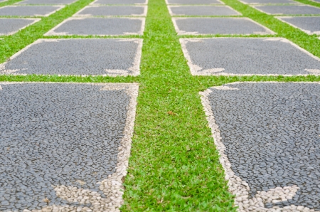 path with grass growing up between the stonesの写真素材