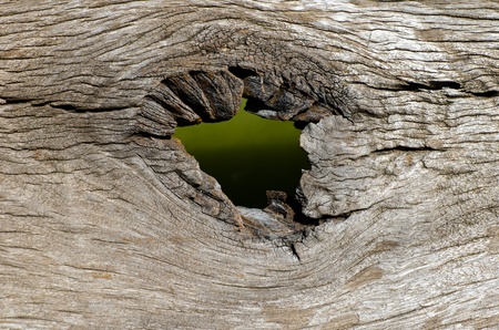 hole in wooden texture as background