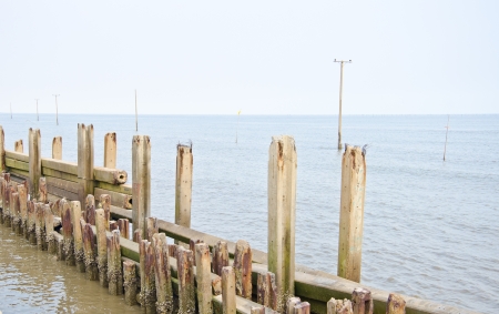 Electronic poles are drowning, Effect from global warming, This area was a village の写真素材