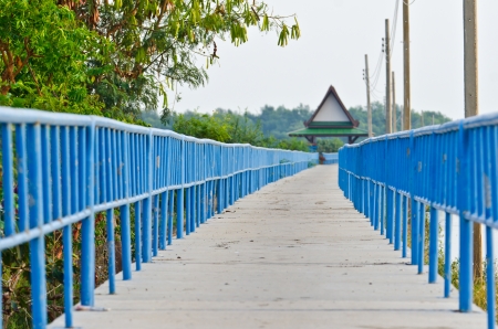 Concrete way for walk and rideの写真素材
