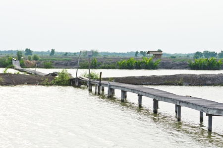 Ancient wood foot bridge in countrysideの写真素材