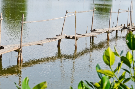 ancient bamboo foot bridge in countrysideの写真素材