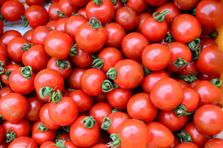 Pile of fresh tomatoes as backgroundの写真素材