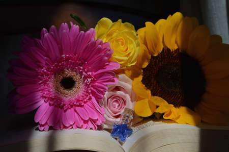 Flowersの写真素材