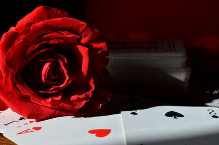 red rose - playing cardsの写真素材