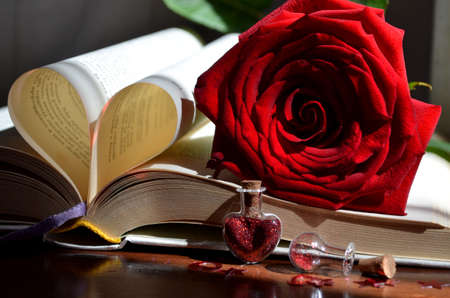 Red roseの写真素材