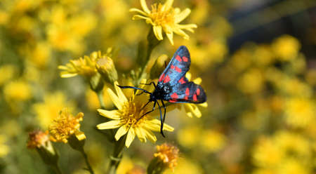 Springの写真素材