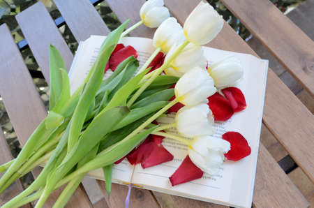 Tulipsの写真素材