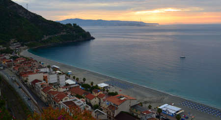 Scillaの写真素材