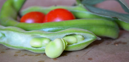 Fava beansの写真素材