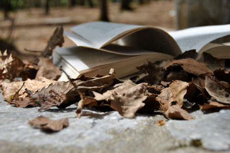 Book on the leaves