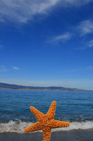 Reggio Calabriaの写真素材