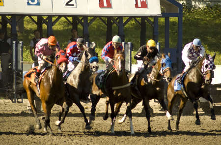 Start of horse races at Hastings Downsの写真素材