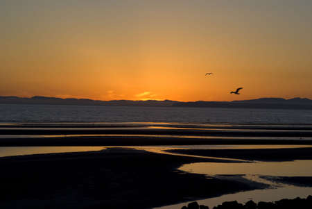 After sunset view of point roberts and tsawassen peninsula from white rock beachの写真素材