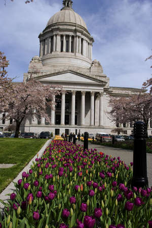 Legislative capitol building with tulip patch in frontの写真素材