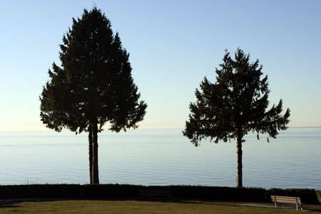 Two trees in front of the Teahouse in Staney PArk Vancouverの写真素材