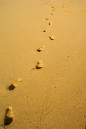 Footsteps on sunny tropical beach vertical towardsの写真素材