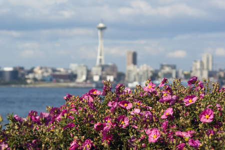 Space Needle blur with flowers in the foreground in summerの写真素材