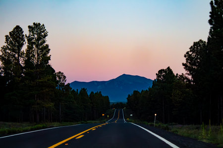 Mountain sunset with black roads and fir trees