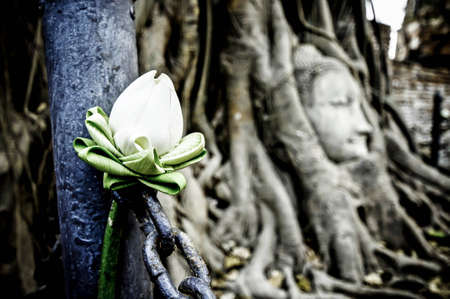 Near or Farの写真素材