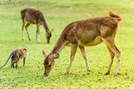 Breakfastの写真素材