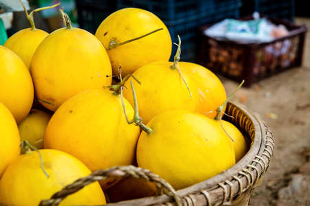 Big cantaloupeの写真素材