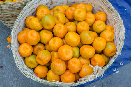 The orangesの写真素材