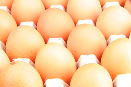 close up of many fresh eggs in the holder
