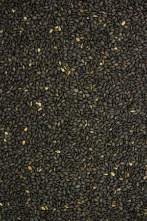 close up of many black sesame full of backgroundの写真素材
