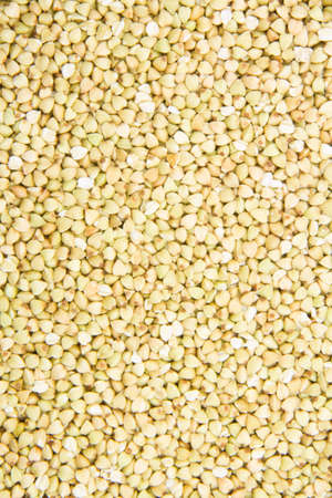 close up of many buckwheat full of backgroundの写真素材