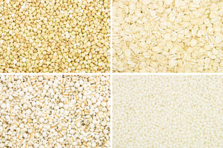background of many kinds of different grains