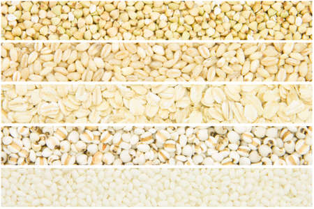 background of many kinds of different grains