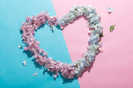 Heart-shape Hydrangea Garland on Pink and Blue Background.の写真素材