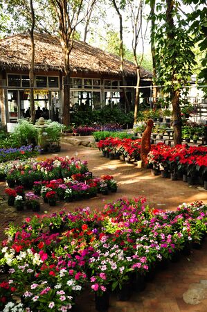 Flowers in the gardenの写真素材