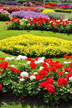 Flowers in the gardenの写真素材