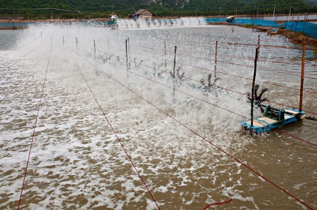 Locally made water turbines for agriculture