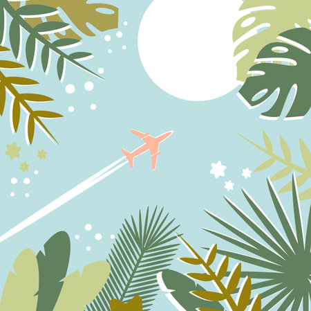 The plane flies in the sky against the background of tropical leaves. Travel or flight to a place of rest.のイラスト素材