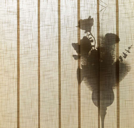 silhouette of a bouquet of flowers in a cup standing on the window behind the striped curtain against the sunの写真素材
