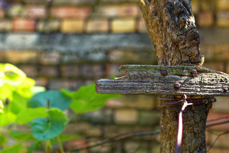 old fence with three nailsの写真素材