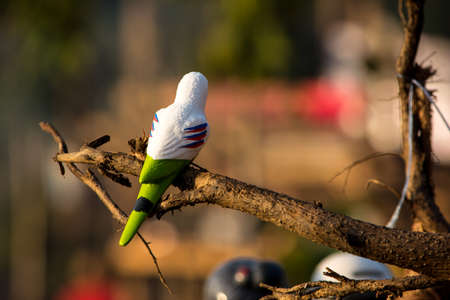 toy bird on the tree in the morningの写真素材