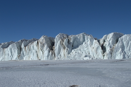 Nature of Antarctic