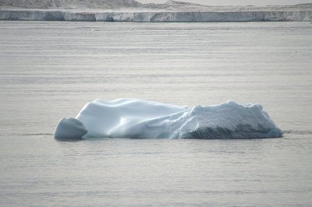 Nature of Antarctic  Ices and icebergs