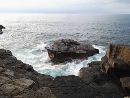 Morning in the early summerの写真素材