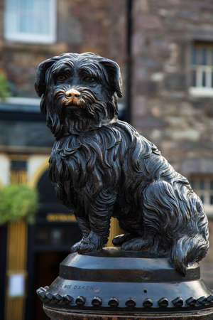 Bronze statue of famous scottish dog in Edinburgh, people rub its nose for luckの写真素材