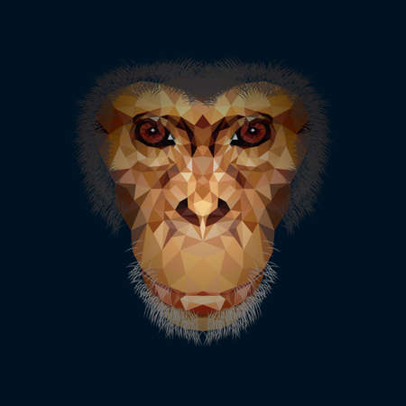 faceted chimpanzee