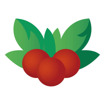 christmas holly berries