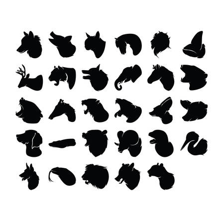 collection of animals